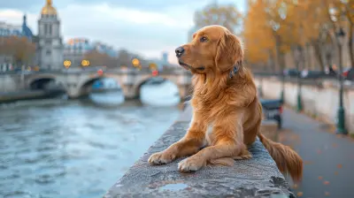 Dog-Friendly City Break Destinations for Pet-Lovers